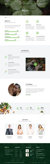 alazea mini website template desktop screenshot