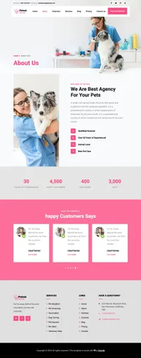 petvet mini website template desktop screenshot