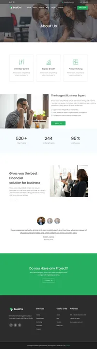 busicol mini website template desktop screenshot