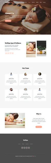 wellspa mini website template desktop screenshot