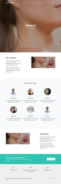 acupuncture mini website template desktop screenshot