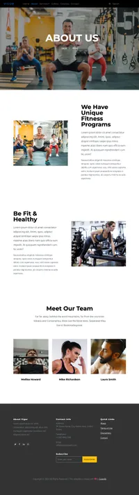 vigor mini website template desktop screenshot