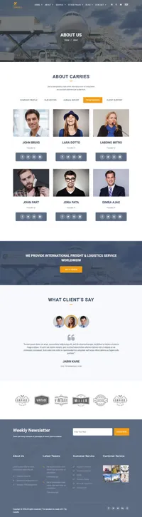 carries mini website template desktop screenshot