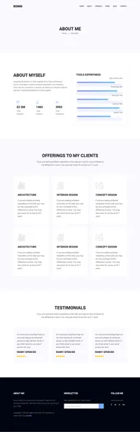 ronin mini website template desktop screenshot