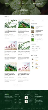 alazea mini website template desktop screenshot