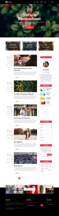 flash mini website template desktop screenshot