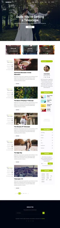 buildarch mini website template desktop screenshot