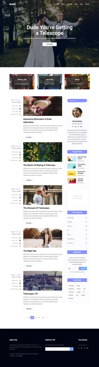 ronin mini website template desktop screenshot