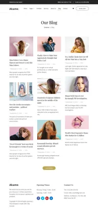 akame mini website template desktop screenshot