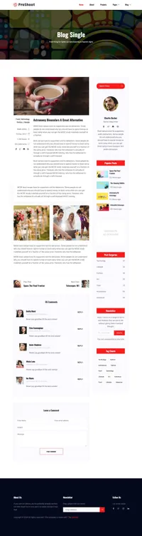 proshoot mini website template desktop screenshot