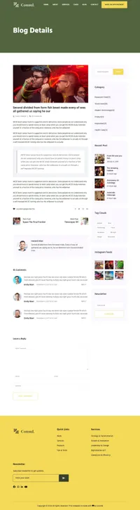 consul mini website template desktop screenshot