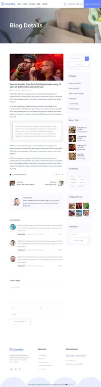 laundry mini website template desktop screenshot