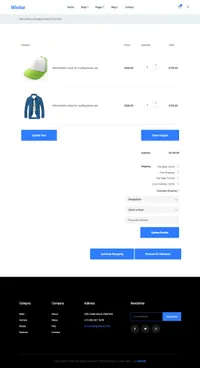 winter mini website template desktop screenshot