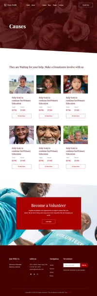 nonprofit mini website template desktop screenshot