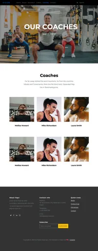 vigor mini website template desktop screenshot