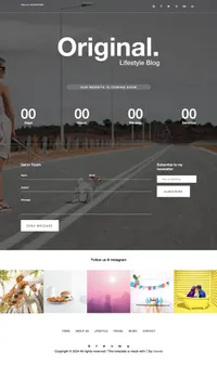 original mini website template desktop screenshot