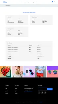 winter mini website template desktop screenshot
