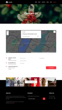 flash mini website template desktop screenshot