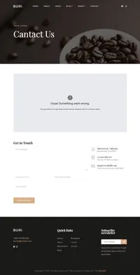buri mini website template desktop screenshot