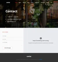 caviar mini website template desktop screenshot