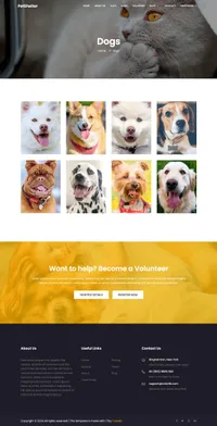 animal-shelter mini website template desktop screenshot