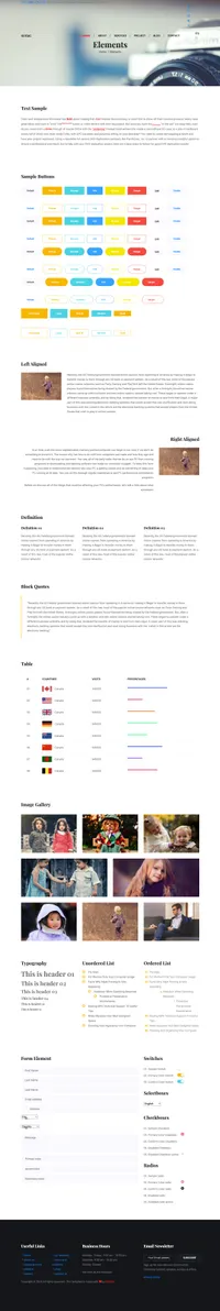 pentax mini website template desktop screenshot