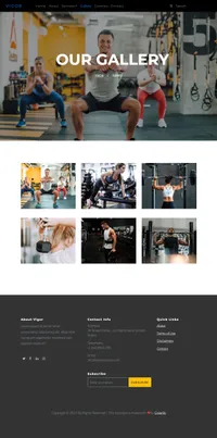 vigor mini website template desktop screenshot