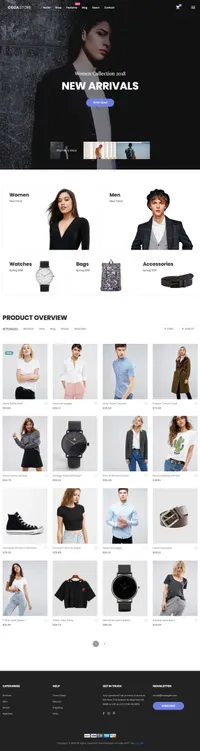 coza-store mini website template desktop screenshot