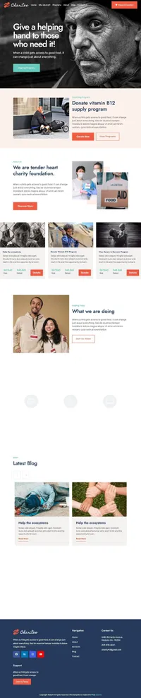 charitee mini website template desktop screenshot
