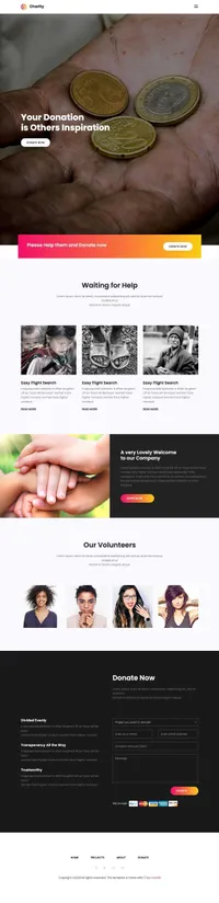 charity mini website template desktop screenshot