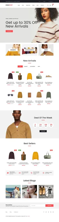 coloshop mini website template desktop screenshot
