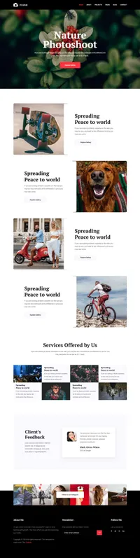 flash mini website template desktop screenshot