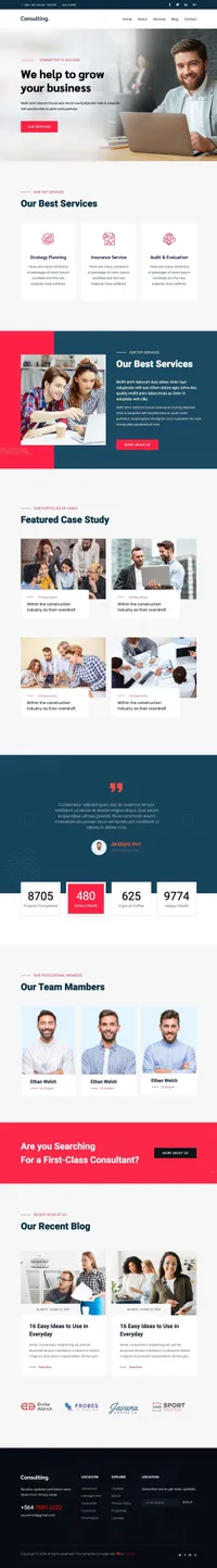 consultingbiz mini website template desktop screenshot