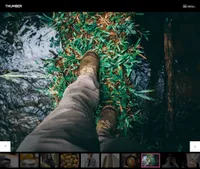 thumber mini website template desktop screenshot