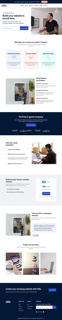 olla mini website template desktop screenshot