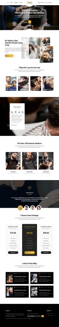 barcut mini website template desktop screenshot