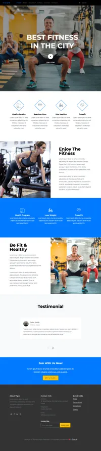 vigor mini website template desktop screenshot