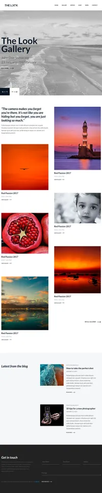 thelook mini website template desktop screenshot