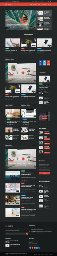 vizew mini website template desktop screenshot
