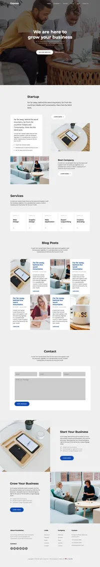 express mini website template desktop screenshot