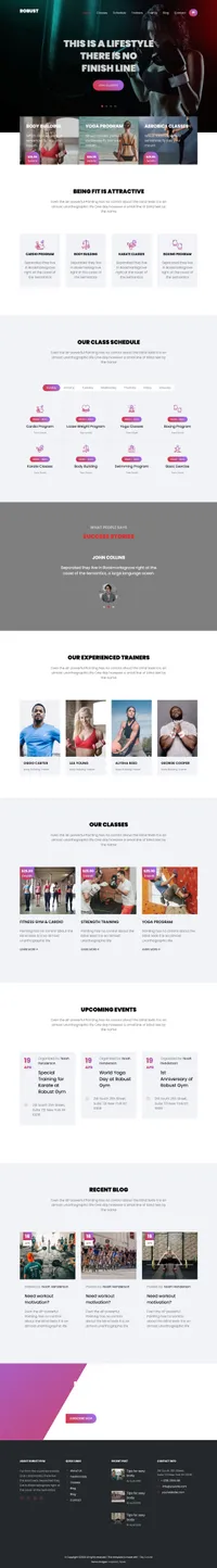 robust mini website template desktop screenshot