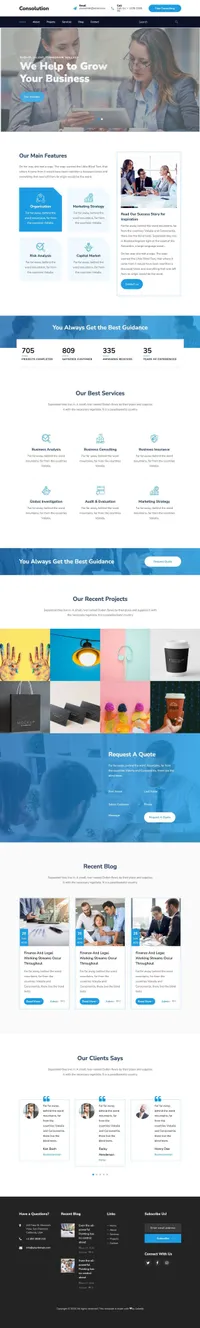 consulotion mini website template desktop screenshot