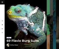 tulen mini website template desktop screenshot
