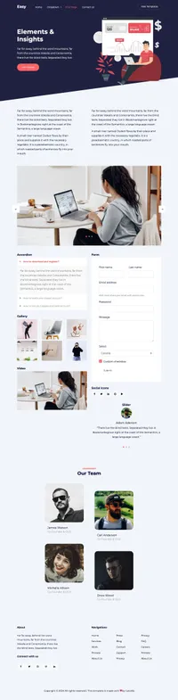 easy mini website template desktop screenshot