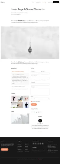 alpha mini website template desktop screenshot