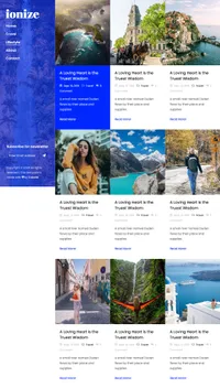 ionize mini website template desktop screenshot