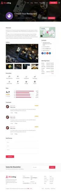 directing mini website template desktop screenshot