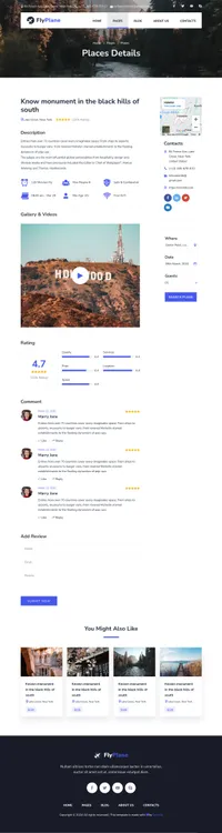 flyplane mini website template desktop screenshot