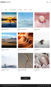 photographer mini website template desktop screenshot