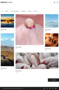 photographer mini website template desktop screenshot